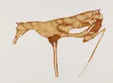 Joseph Beuys, HIRSCHKUH, Farbige Lithographie nach einer um 1958/1962 entstandenen Zeichnung mit Eisenchlorid. Auf Rives-Velin