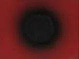 Ohne Titel (Schwarze Sonne) by Otto Piene, Öl, Feuer und Rauch auf Leinwand, sold Nov 2007