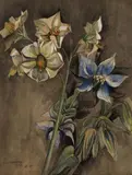 Hannah Höch, Blumenstilleben