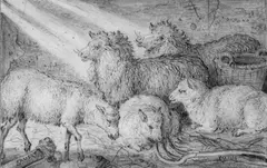 Roelant Savery, KLEINE SCHAFSGRUPPE., Unten bezeichnet: Savery. Kohle in Schwarz, braun laviert, auf geripptem Papier