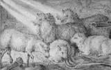 Roelant Savery, KLEINE SCHAFSGRUPPE., Unten bezeichnet: Savery. Kohle in Schwarz, braun laviert, auf geripptem Papier
