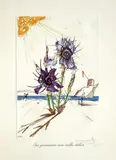 Surrealistic Flowers by Salvador Dalí, 15 farbige Heliogravuren mit Prägung nach Gouachen. Auf schwerem genarbten Arches Velin um, sold Jun 2007