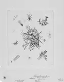 Wassily Kandinsky, Kleine Welten X, Original-Radierung (Kaltnadel) auf Japan