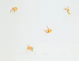 Norbert Bisky, Bis zum letzten Atemzug, Aquarell und Bleistift auf Arches Velin