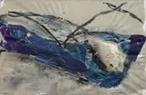 Dieter Krieg, Ohne Titel