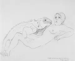 Maria Lassnig, Erotik ist nicht immer Sache der Schönheit, Graphit auf Karton