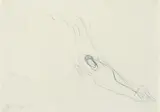 Ohne Titel (Hirschkopf) by Joseph Beuys, Bleistift auf chamoisfarbenem Papier mit unregelmäßig verlaufendem rechten Rand, sold Dec 2006