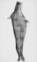 Robbe by Joseph Beuys, 1981, Farblithografie auf Bütten, sold Dec 2006