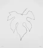 Ellsworth Kelly, Wild Grape Leaf
