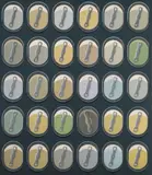Konrad Klapheck, Einer und Viele (Un dans la foule), Öl auf Leinwand