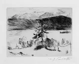 Lovis Corinth, Lärche am Walchensee, Original-Radierung (Kaltnadel) auf gelblichem Bütten