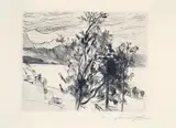 Lovis Corinth, Blick auf den Walchensee, Original-Radierung (Kaltnadel) auf Velin