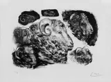 Têtes de Béliers by Pablo Picasso, Original-Lithographie auf Arches-Velin, sold Nov 2006