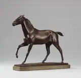 Richard Scheibe, Pferd