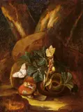 Karl Wilhelm de Hamilton, SOUS-BOIS-STILLEBEN MIT PILZEN., Öl auf Holz