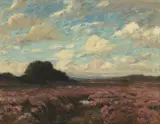 Hans am Ende, Blühende Heide
