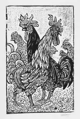 Otto Pankok, Erschrockener Hahn. Hahn und Huhn. Hähne und Hühner. Beim Reinigen der Federn, 4 Original-Holzschnitte auf verschiedenen Papieren um