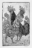 Otto Pankok, Erschrockener Hahn. Hahn und Huhn. Hähne und Hühner. Beim Reinigen der Federn