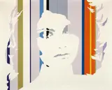Werner Berges, Sensitive Skin, Acryl und collagierte Papiere auf Leinwand