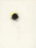 Claudio Parmiggiani, Ohne Titel (Liebesball), Graphit, Kohle und Kreide auf Velin