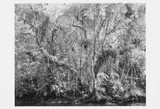 Thomas Struth, Griffelkunst 2004, Mappenwerk mit 6 pigmentierten Tintenstrahldrucken auf Büttenkarton