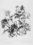 Sommerblumenstrauss mit Mannstreu by Oskar Kokoschka, Farblithographie nach einem 1969 entstandenen Aquarell auf Velin, sold Dec 2005