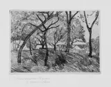 Paula Modersohn-Becker, Landschaft unter Bäumen, Original-Radierung (Ätzung und Roulette) auf gelblichem leicht genarbten Velin