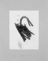 Schwan by Joseph Beuys, Original-Farbradierung auf dünnem weißen Papier, aufgewalzt auf hellgraues Rives-Velin, sold Dec 2005