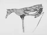 Joseph Beuys, Hirschkuh, Original-Farblithographie auf Velin