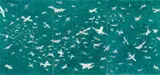 Alighiero Boetti, Ohne Titel (aerei)