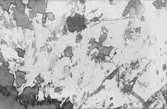 Ohne Titel (Schüttbilder) by Hermann Nitsch, 2 Arbeiten: Acryl bzw. Blut auf Baumwolle jeweils, sold Dec 2005