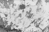 Hermann Nitsch, Ohne Titel (Schüttbilder)