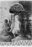 Mu nieltnam netorrurup by Sigmar Polke, Farbige Offset-Lithographie auf Karton, sold Dec 2005