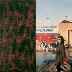 Ian Wallace, Greyhound, 2-teilige Arbeit: Farbfotografie, auf Leinwand laminiert, und Acryl auf Leinwand je