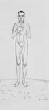 Ferdinand Hodler, Stehender männlicher Akt