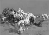 Henri Emilien Rousseau, Chevaux camargues, Gouache und Kohlezeichnung auf bräunlichem Papier