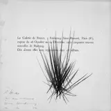 Hans Hartung, Ohne Titel, Farbige Ölkreide auf festem, glatten und bedruckten Papier