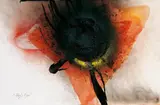 Otto Piene, Fly's eye