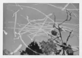 Gerhard Richter, Funken, Farbige Offsetlithographie, mit farblosem Lack beschichtet, auf Chromokarton