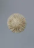 Günther Uecker, Weiße Kugel, Weiße Farbe über Nägeln auf Holzkugel, Durchmesser 17 cm. - Minimal verschmutzt und partiell mit kleineren Farbverlusten. Dazu: Weiße Kugel. 1961 Bleistift auf chamoisfarbenem Papier