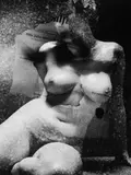 Heinz Hajek-Halke, Ohne Titel (Mehrfachbelichtung)