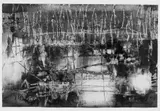 Paul Jenkins, Ohne Titel