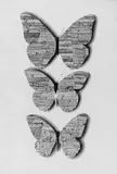 Jiří Kolář, Klee-Schmetterlinge