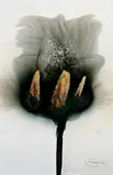 Otto Piene, Ohne Titel