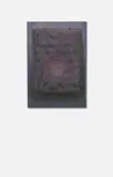 Manuel Rivera, Espejo violeta, Farbig überarbeitetes Metalldrahtrelief auf farbiger Holzplatte montiert