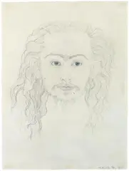 Hirsutism by Kiki Smith, Blei- und Farbstift auf chamoisfarbenem Papier, sold Dec 2004