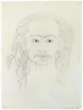 Kiki Smith, Hirsutism