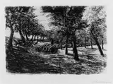 Max Liebermann, Schafherde unter Bäumen, Original-Radierung auf Japan