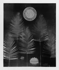 Wald by Max Ernst, Farblithographie nach einem Gemälde von 1969. Auf festem glatten Papier, sold Jun 2004