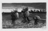 Heinrich Zille, Herbst, 1895, Etching
